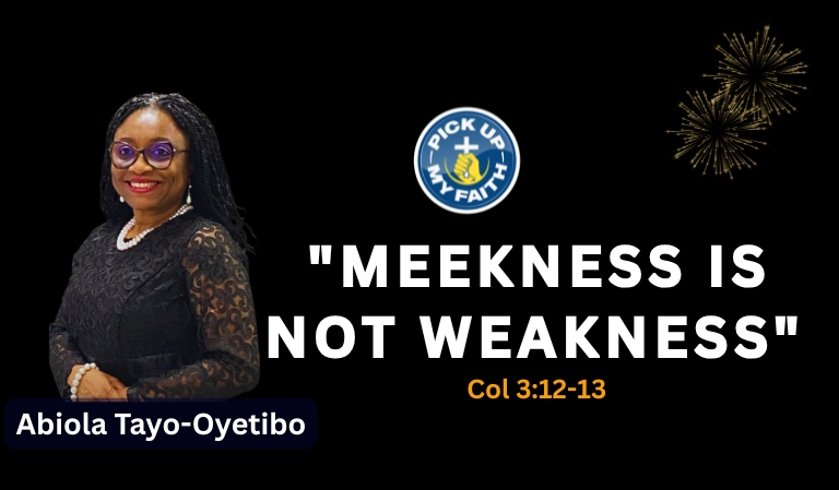 MEEKNESS IS NOT WEAKNESS_BANNER_PUMF