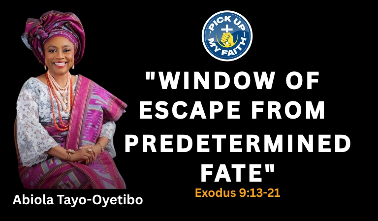 WINDOW OF ESCAPE FROM PREDETERMINED FATE _PUMF BANNER